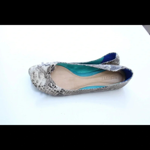 SCHUTZ flats - Picture 3 of 11